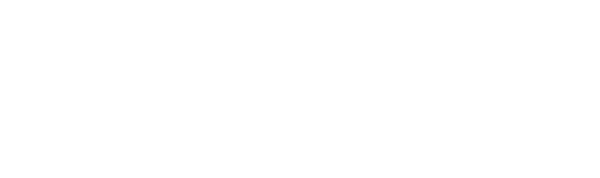 MetaPoint Technologies